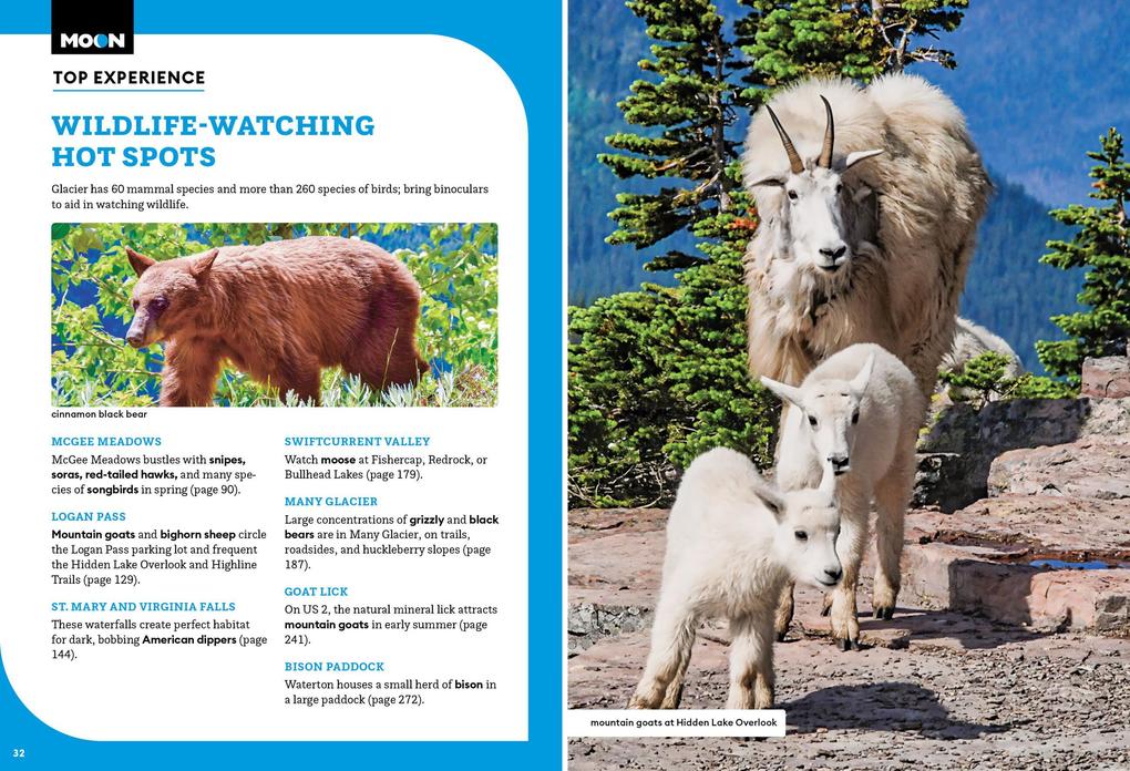 Weitere Ansicht: Moon Glacier National Park | Becky Lomax, Moon Travel Guides