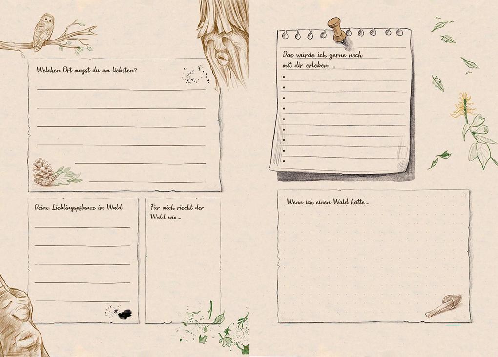 Weitere Ansicht: Ein Mädchen namens Willow: Mein Willow-Freundebuch | Sabine Bohlmann