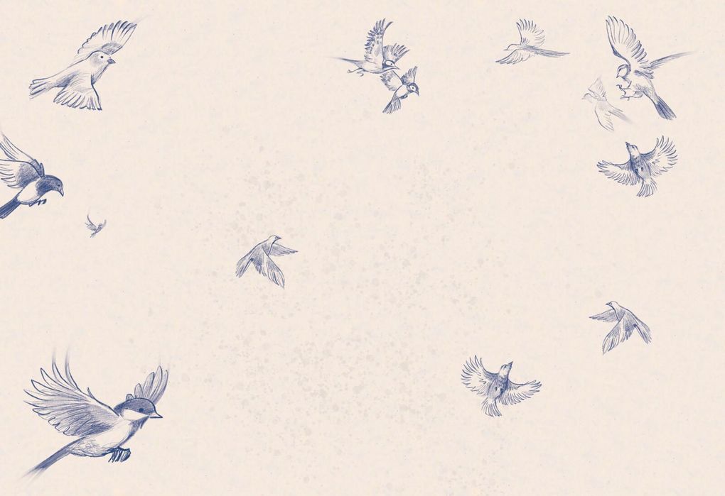 Weitere Ansicht: Ein Mädchen namens Willow: Mein Willow-Freundebuch | Sabine Bohlmann