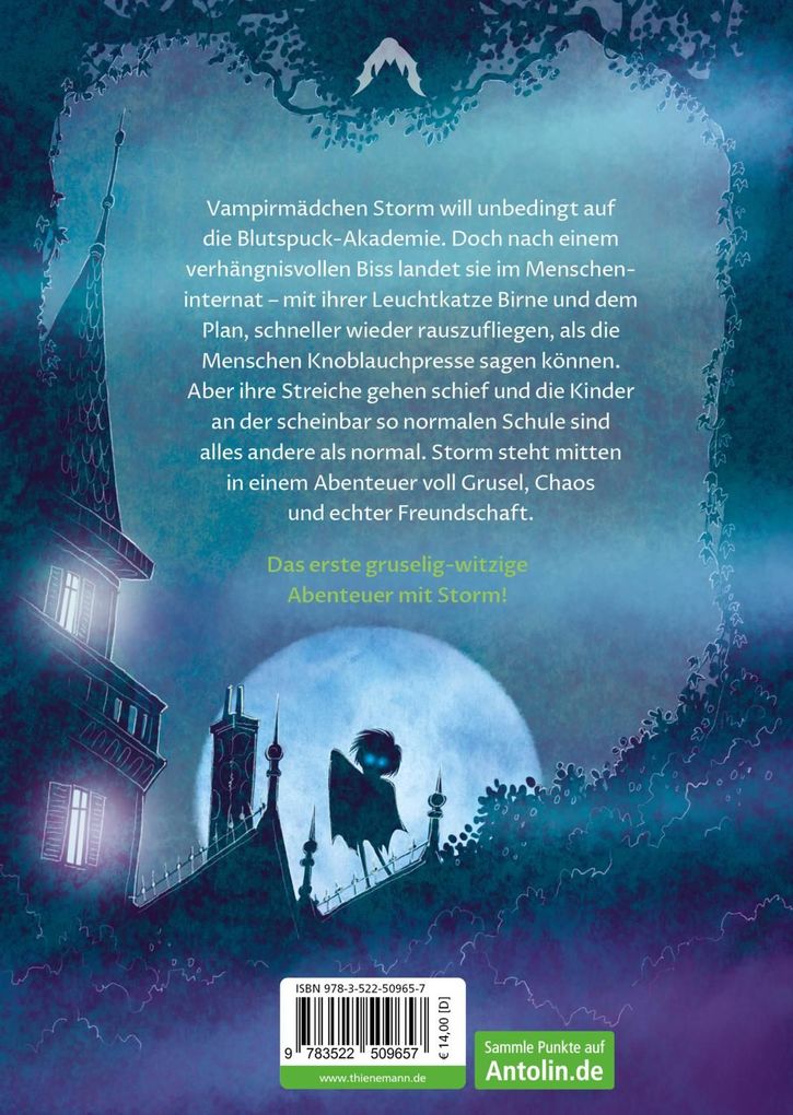 Weitere Ansicht: Storm 1: Das Internat des Gruselns | Judith Weber