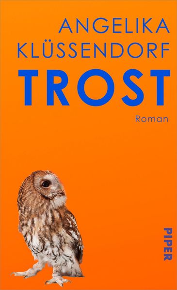 Produktbild: Trost | Angelika Klüssendorf