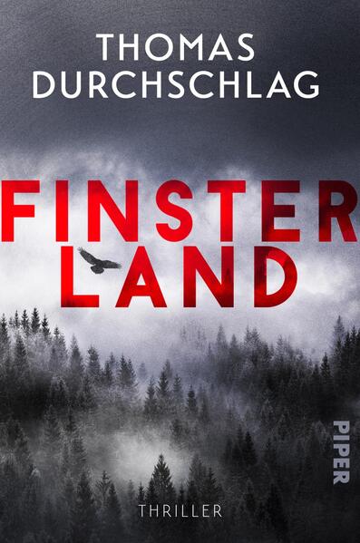 Produktbild: Finsterland | Thomas Durchschlag