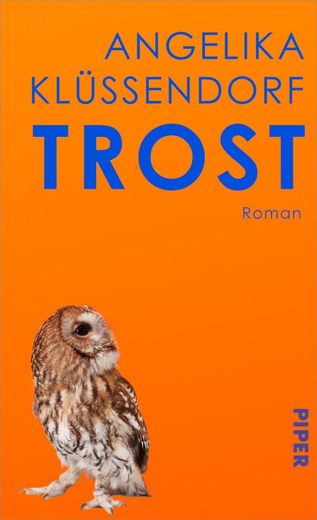 Produktbild: Trost | Angelika Klüssendorf