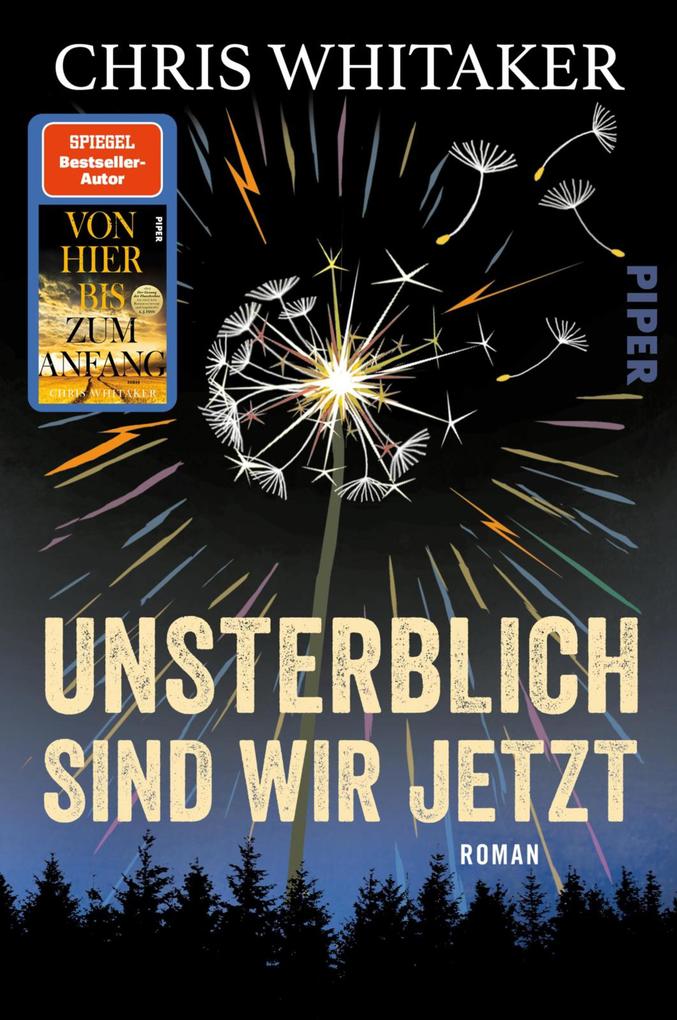 Produktbild: Unsterblich sind wir jetzt | Chris Whitaker
