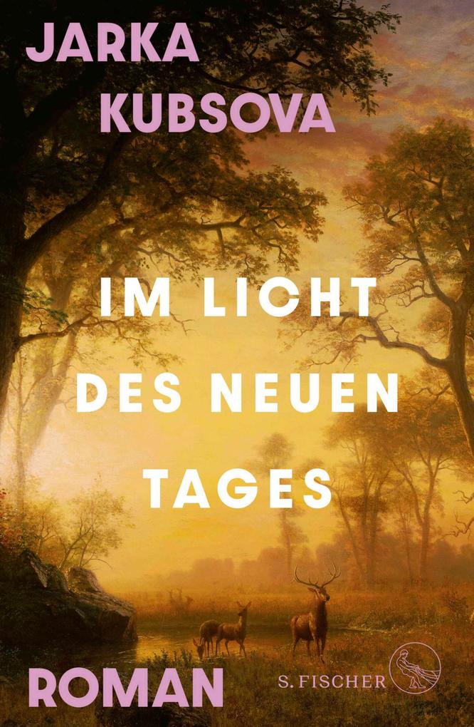 Produktbild: Im Licht des neuen Tages | Jarka Kubsova