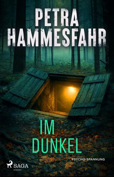 Produktbild: Im Dunkel | Petra Hammesfahr