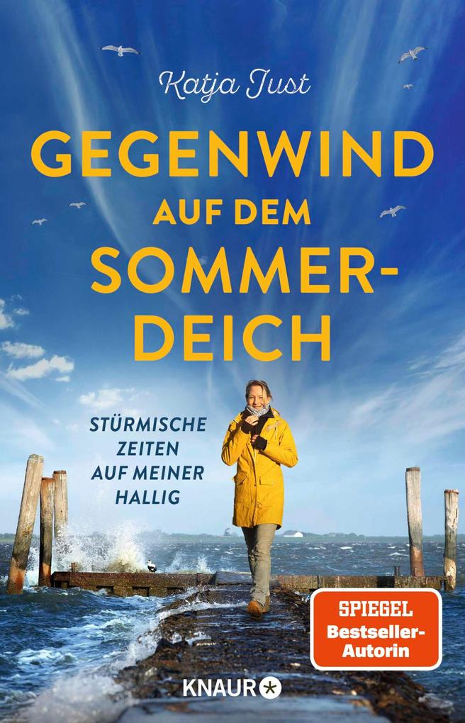 Produktbild: Gegenwind auf dem Sommerdeich | Katja Just