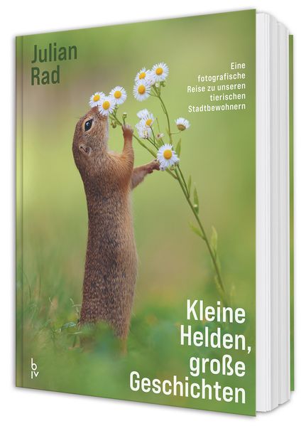 Produktbild: Kleine Helden - große Geschichten | Julian Rad, Angelika Lang