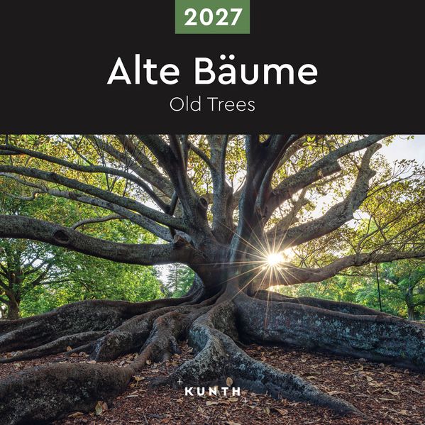 Produktbild: Alte Bäume - KUNTH Broschurkalender 2027