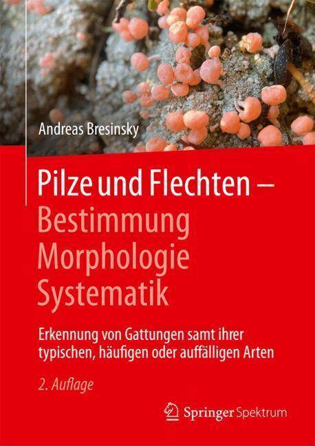 Produktbild: Pilze und Flechten - Bestimmung, Morphologie, Systematik | Andreas Bresinsky