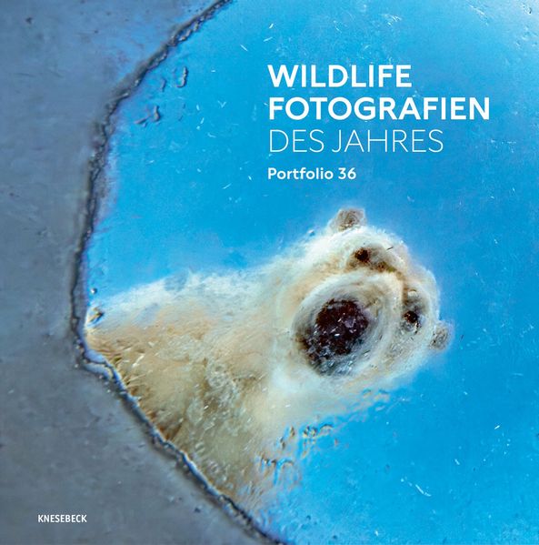 Produktbild: Wildlife Fotografien des Jahres - Portfolio 36