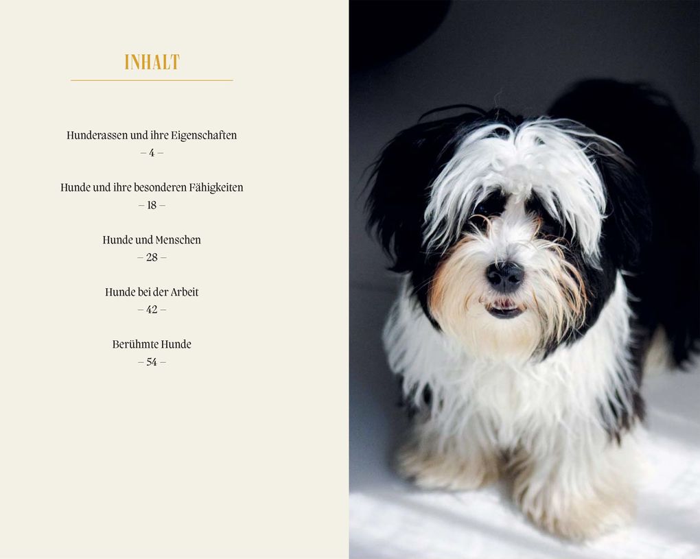 Weitere Ansicht: Hunde