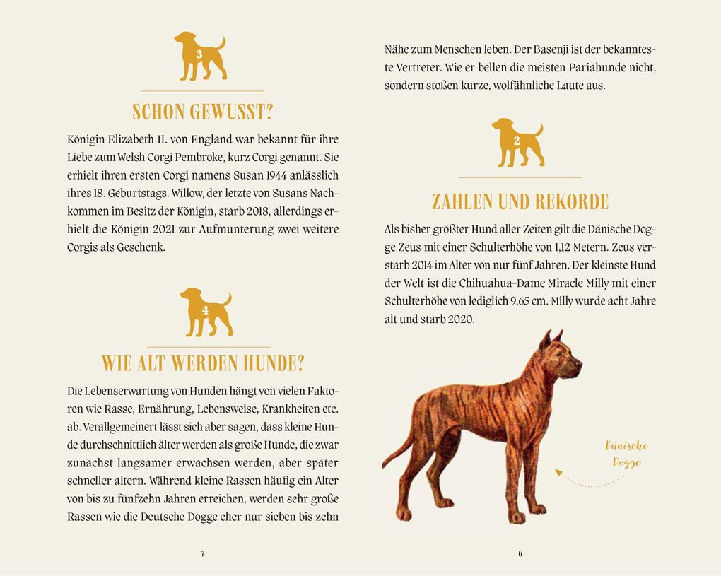 Weitere Ansicht: Hunde
