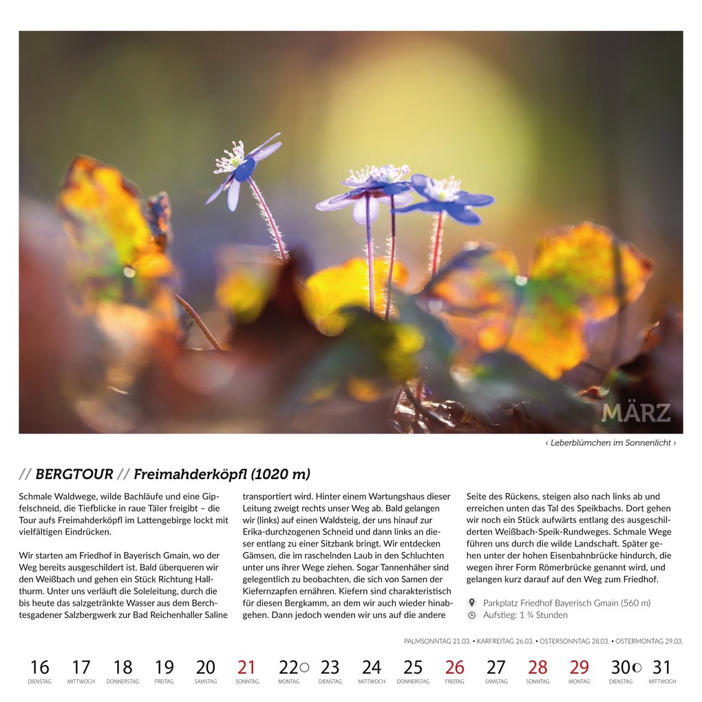 Weitere Ansicht: Berchtesgadener Bergsteigerkalender 2027 | Daniel