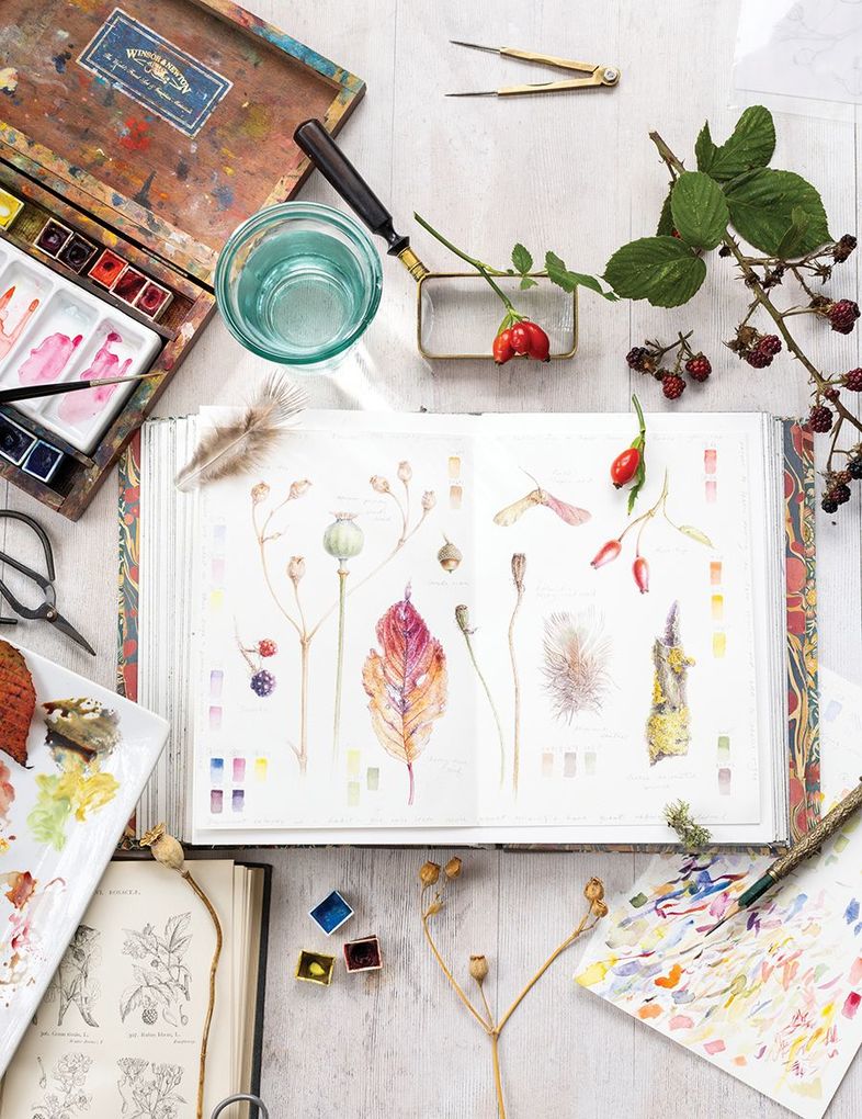 Weitere Ansicht: Sketching Nature | Dianne Sutherland