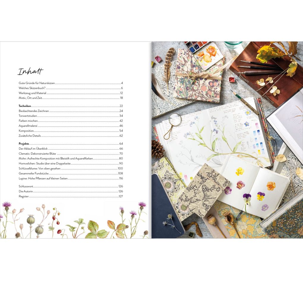 Weitere Ansicht: Sketching Nature | Dianne Sutherland