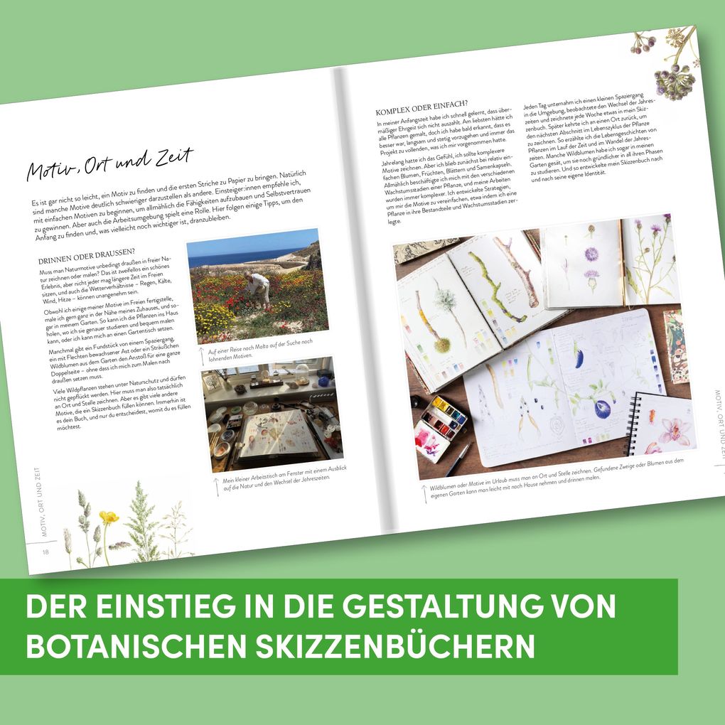 Weitere Ansicht: Sketching Nature | Dianne Sutherland