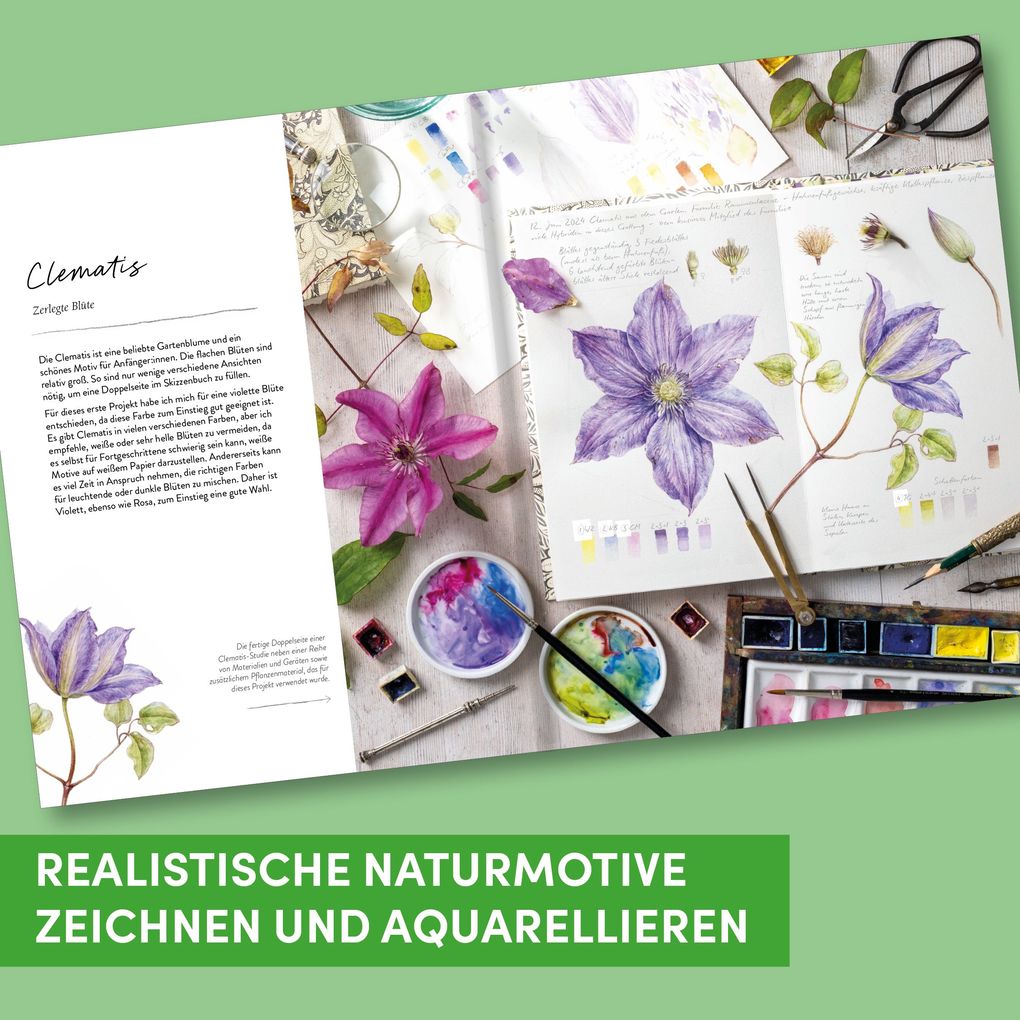 Weitere Ansicht: Sketching Nature | Dianne Sutherland