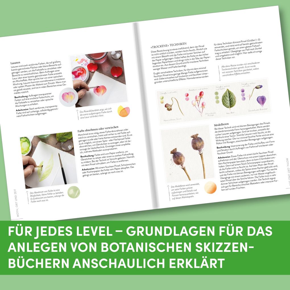 Weitere Ansicht: Sketching Nature | Dianne Sutherland