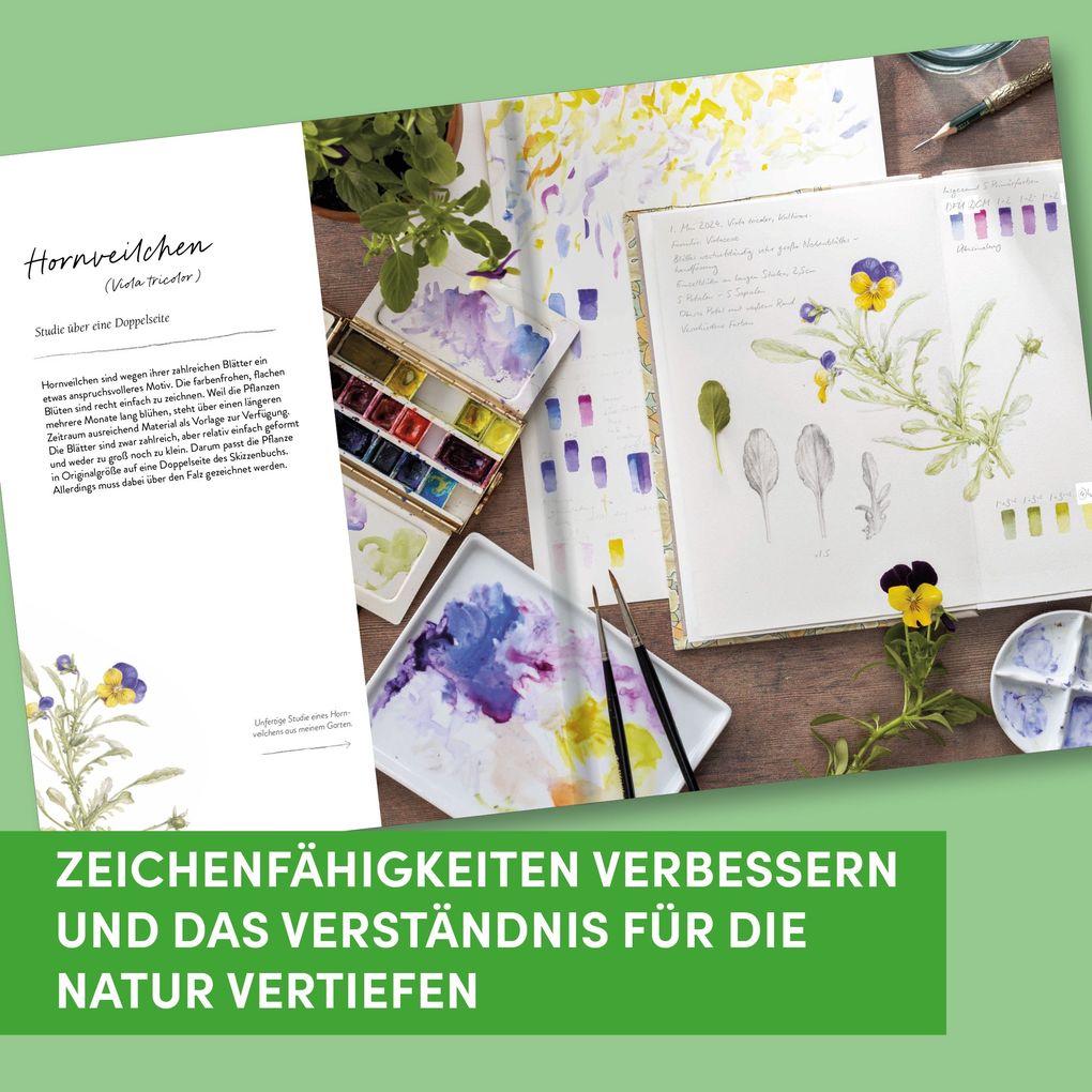 Weitere Ansicht: Sketching Nature | Dianne Sutherland