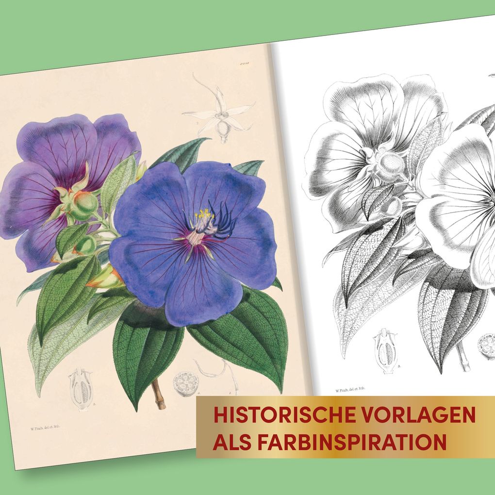 Weitere Ansicht: Kew Gardens - Florale Ausmalträume | Kew Gardens
