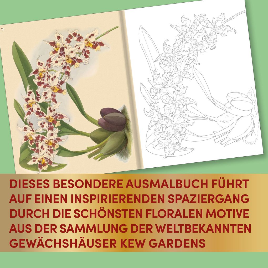 Weitere Ansicht: Kew Gardens - Florale Ausmalträume | Kew Gardens