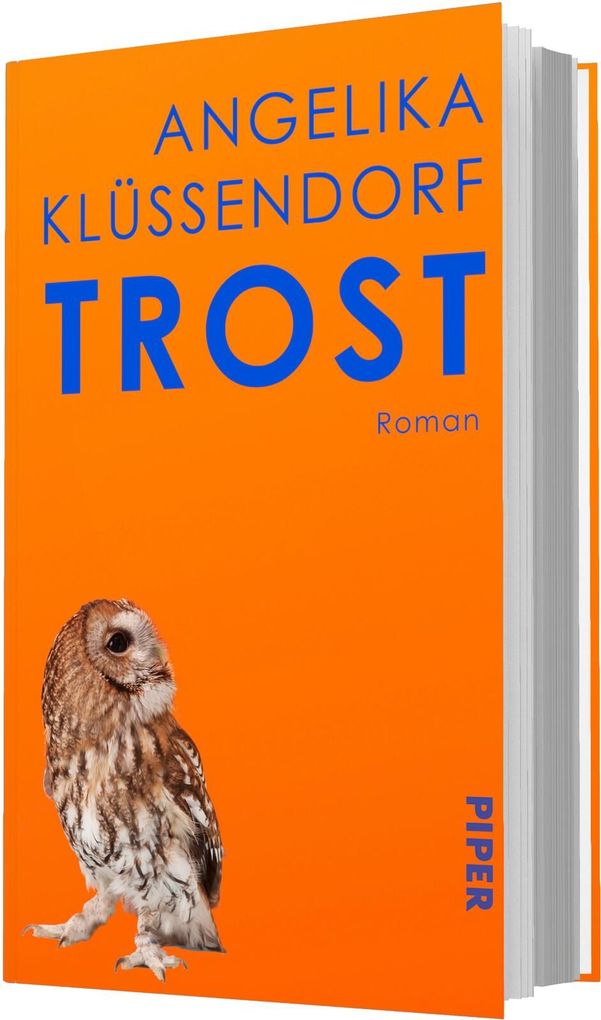 Weitere Ansicht: Trost | Angelika Klüssendorf