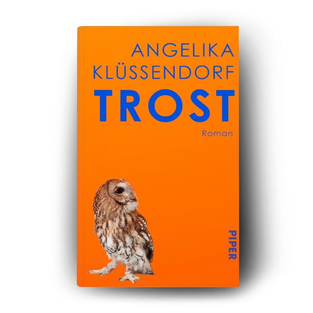 Weitere Ansicht: Trost | Angelika Klüssendorf