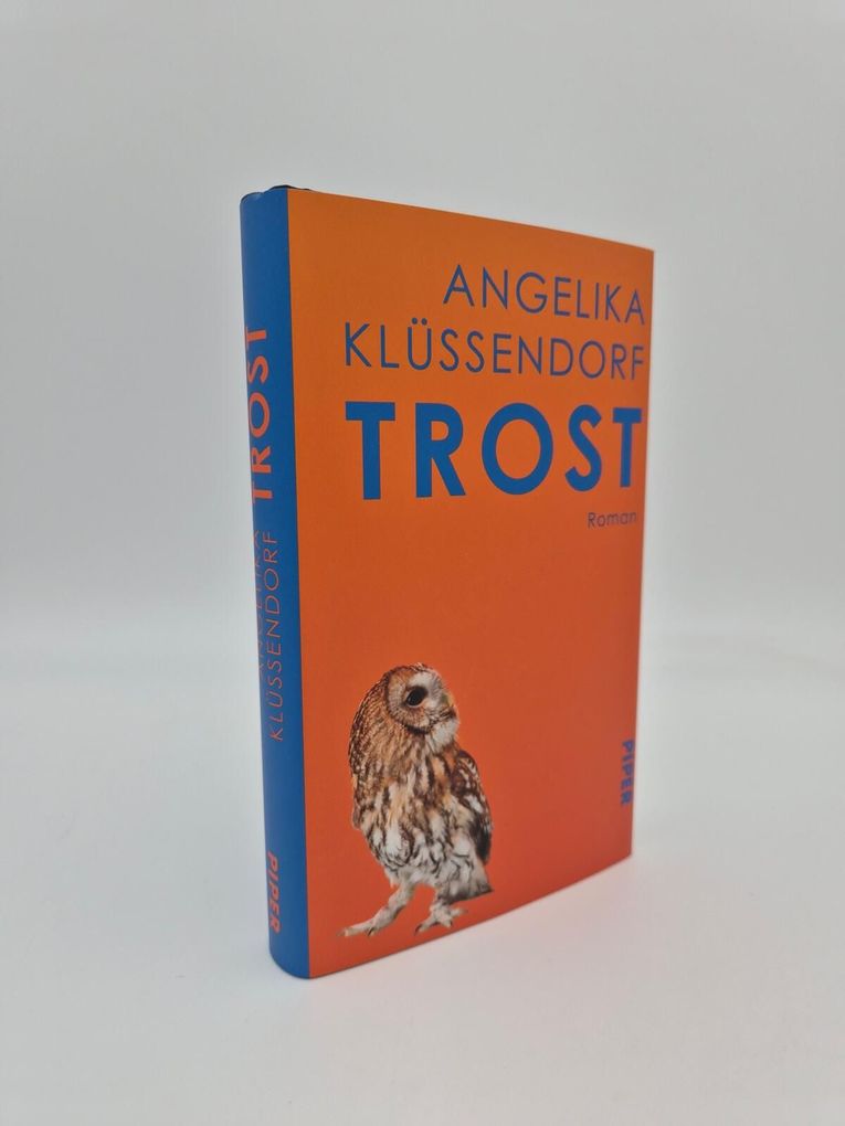 Weitere Ansicht: Trost | Angelika Klüssendorf