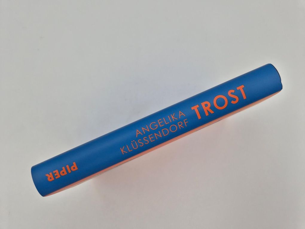Weitere Ansicht: Trost | Angelika Klüssendorf