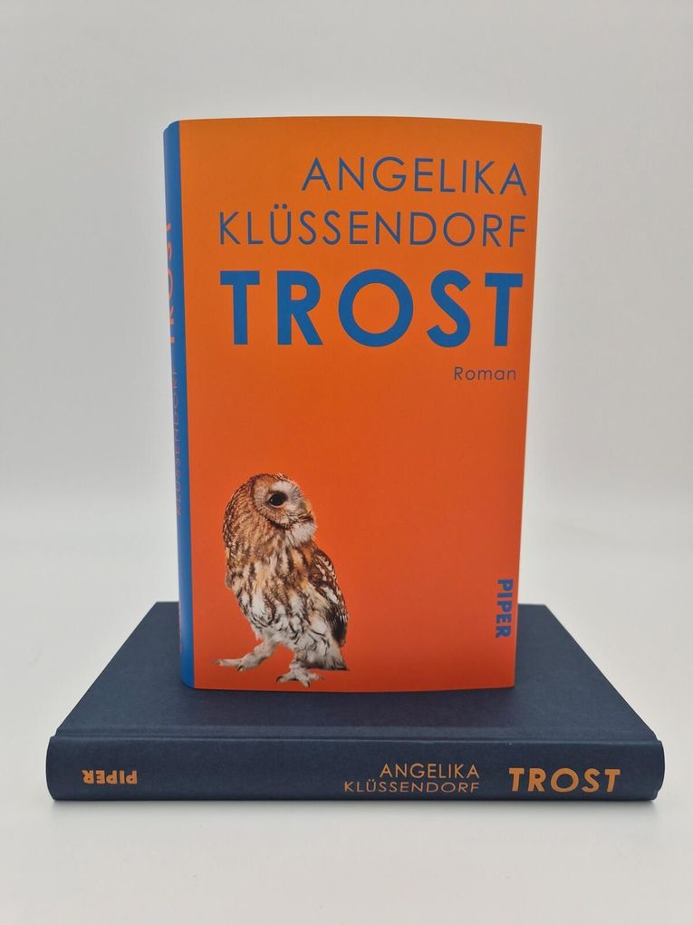 Weitere Ansicht: Trost | Angelika Klüssendorf