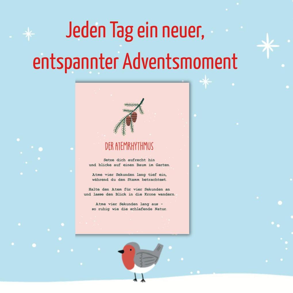 Weitere Ansicht: Cosy Winter Garden Adventskalender | Lena Maria Bellermann