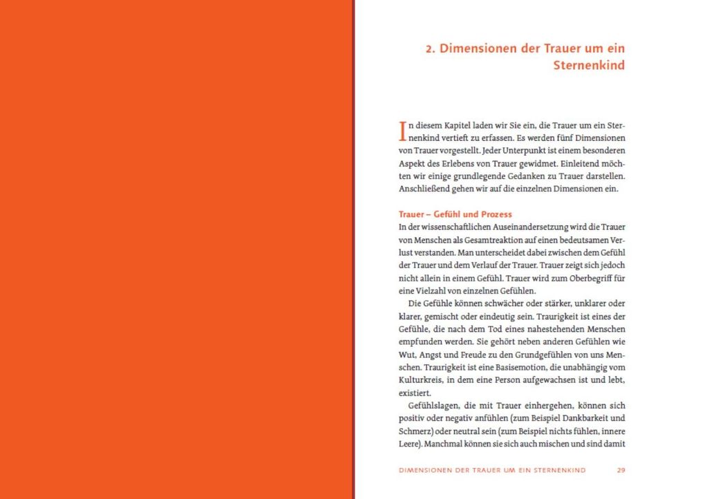 Weitere Ansicht: Sternenkind: Trauer verstehen und begleiten | Daniel Hollenberg, Wolfram Schulze