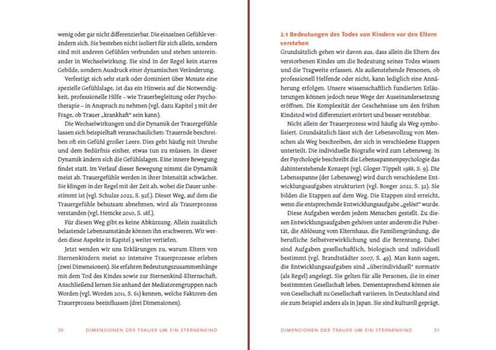 Weitere Ansicht: Sternenkind: Trauer verstehen und begleiten | Daniel Hollenberg, Wolfram Schulze