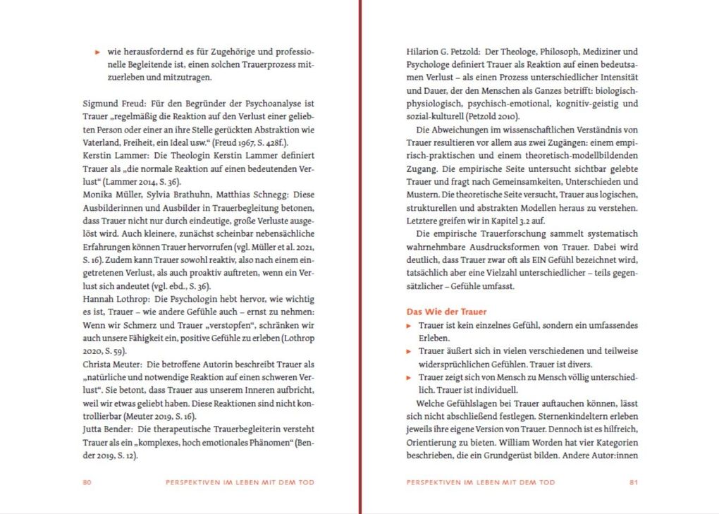 Weitere Ansicht: Sternenkind: Trauer verstehen und begleiten | Daniel Hollenberg, Wolfram Schulze