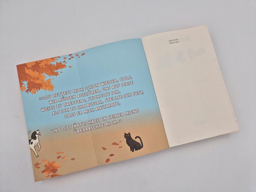 Weitere Ansicht: Fall at Once | Nora Everly