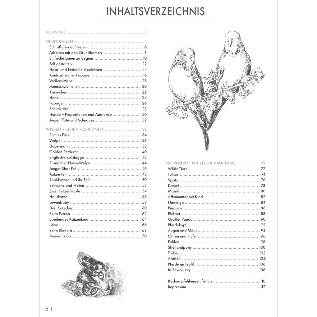 Weitere Ansicht: Die Kunst des Zeichnens Tiere Übungsbuch | Frechverlag