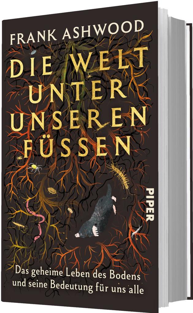 Weitere Ansicht: Die Welt unter unseren Füßen | Frank Ashwood