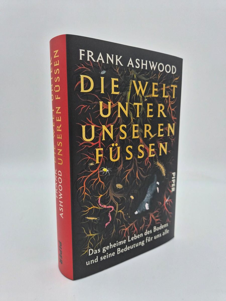 Weitere Ansicht: Die Welt unter unseren Füßen | Frank Ashwood
