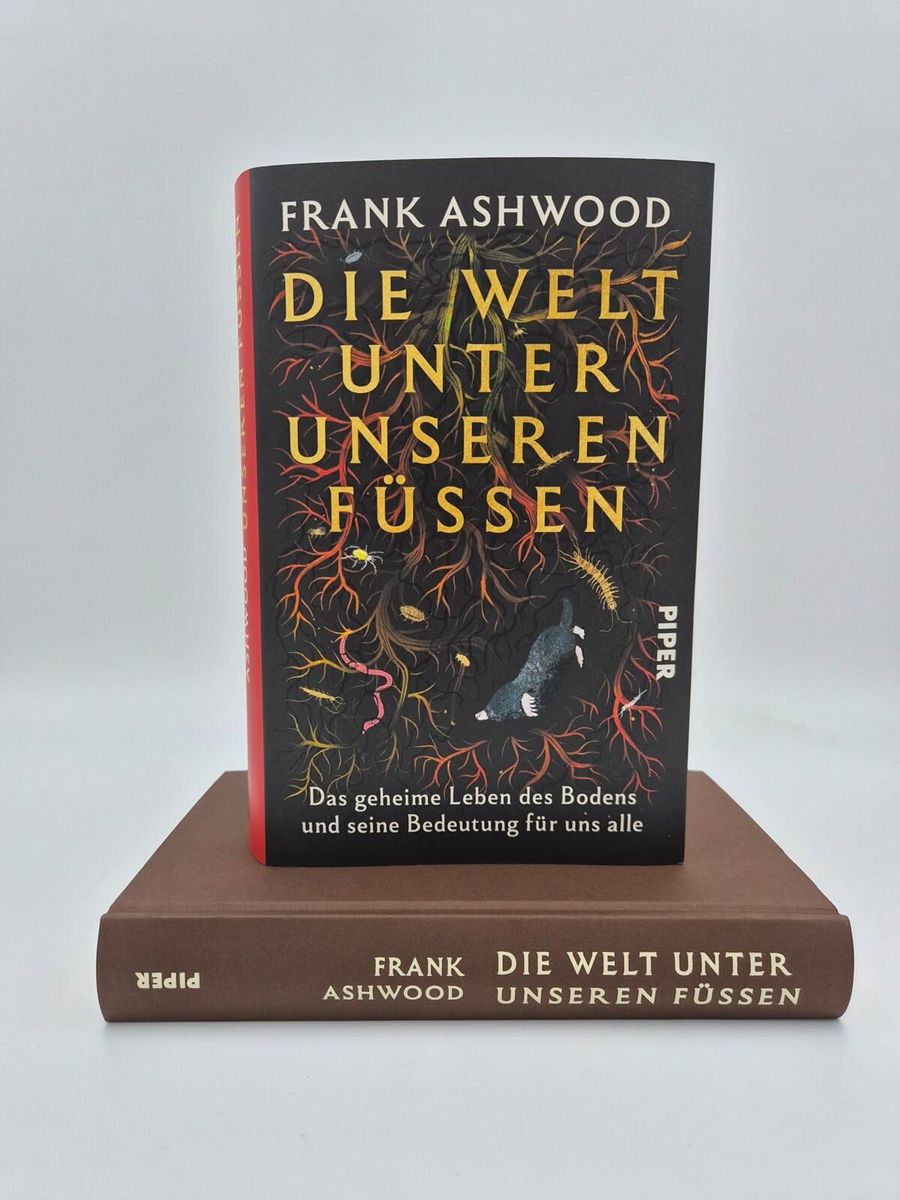Weitere Ansicht: Die Welt unter unseren Füßen | Frank Ashwood