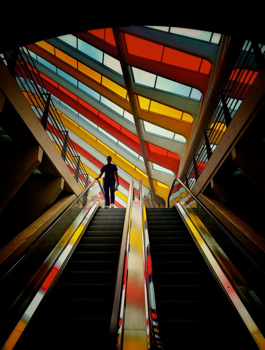 Weitere Ansicht: The Art of Solitude | Mark Fearnley