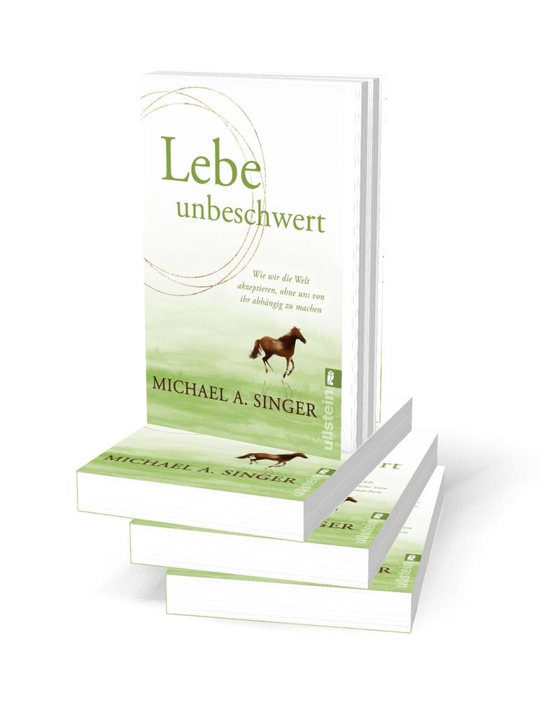 Weitere Ansicht: Lebe unbeschwert | Michael A. Singer