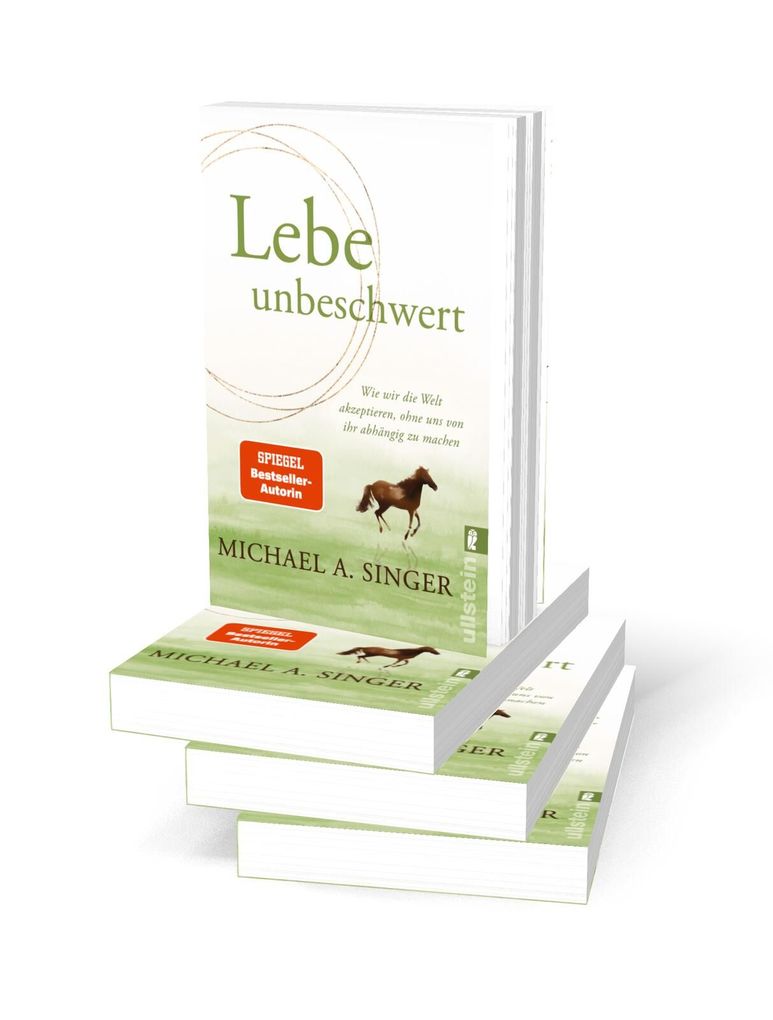 Weitere Ansicht: Lebe unbeschwert | Michael A. Singer