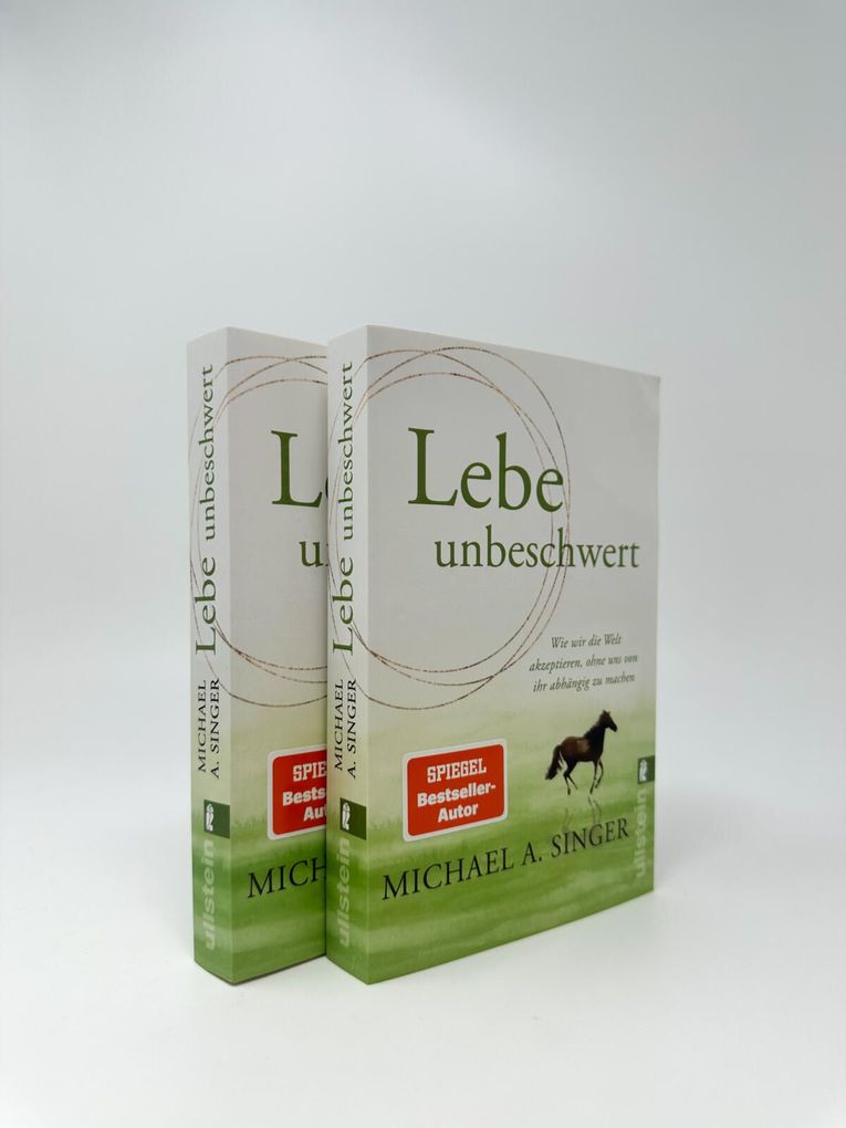 Weitere Ansicht: Lebe unbeschwert | Michael A. Singer