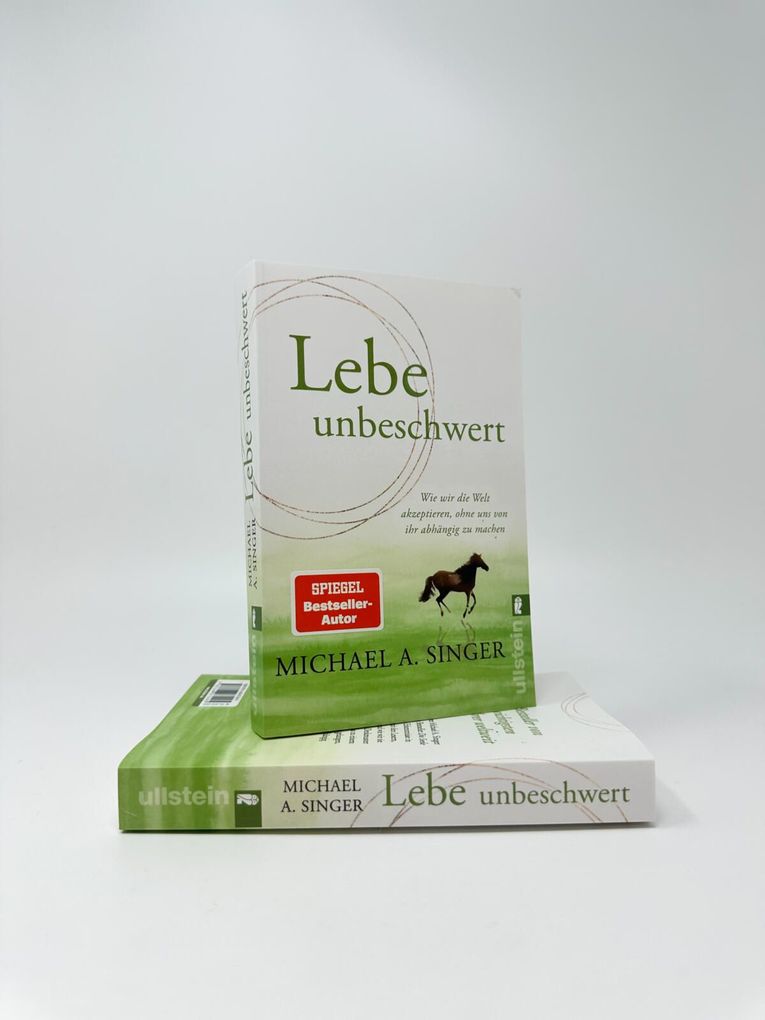 Weitere Ansicht: Lebe unbeschwert | Michael A. Singer