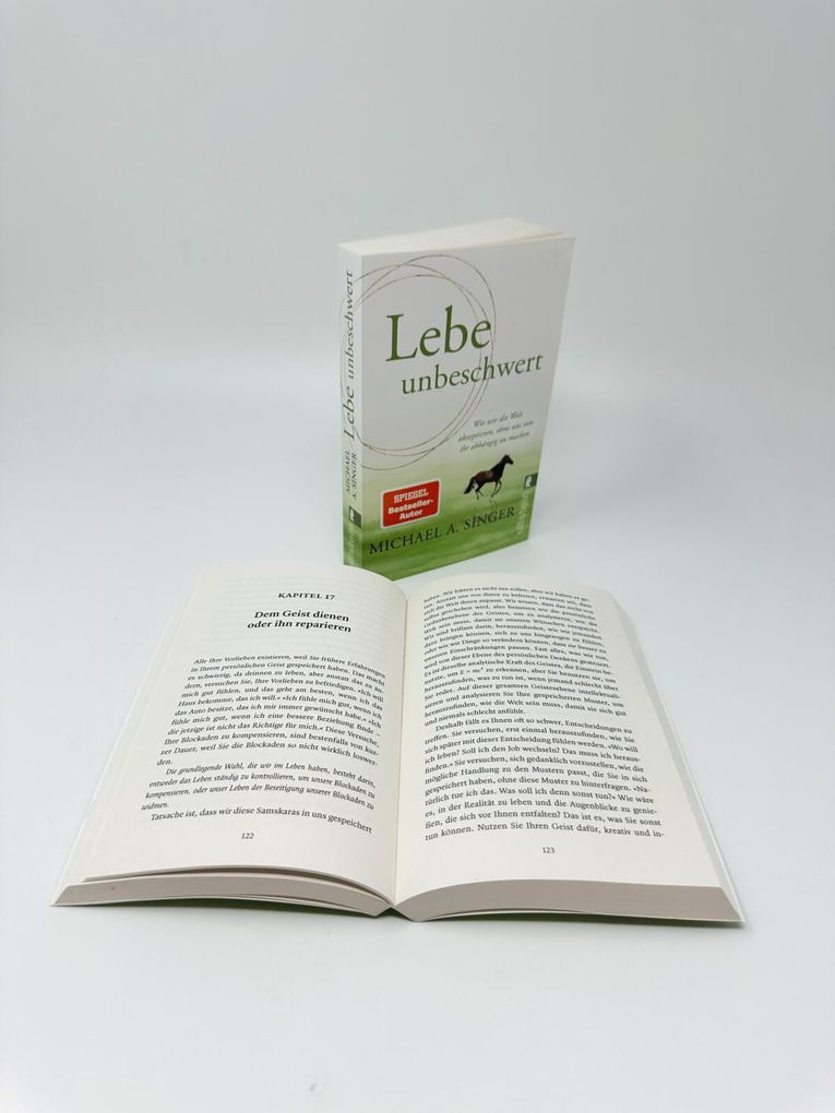 Weitere Ansicht: Lebe unbeschwert | Michael A. Singer