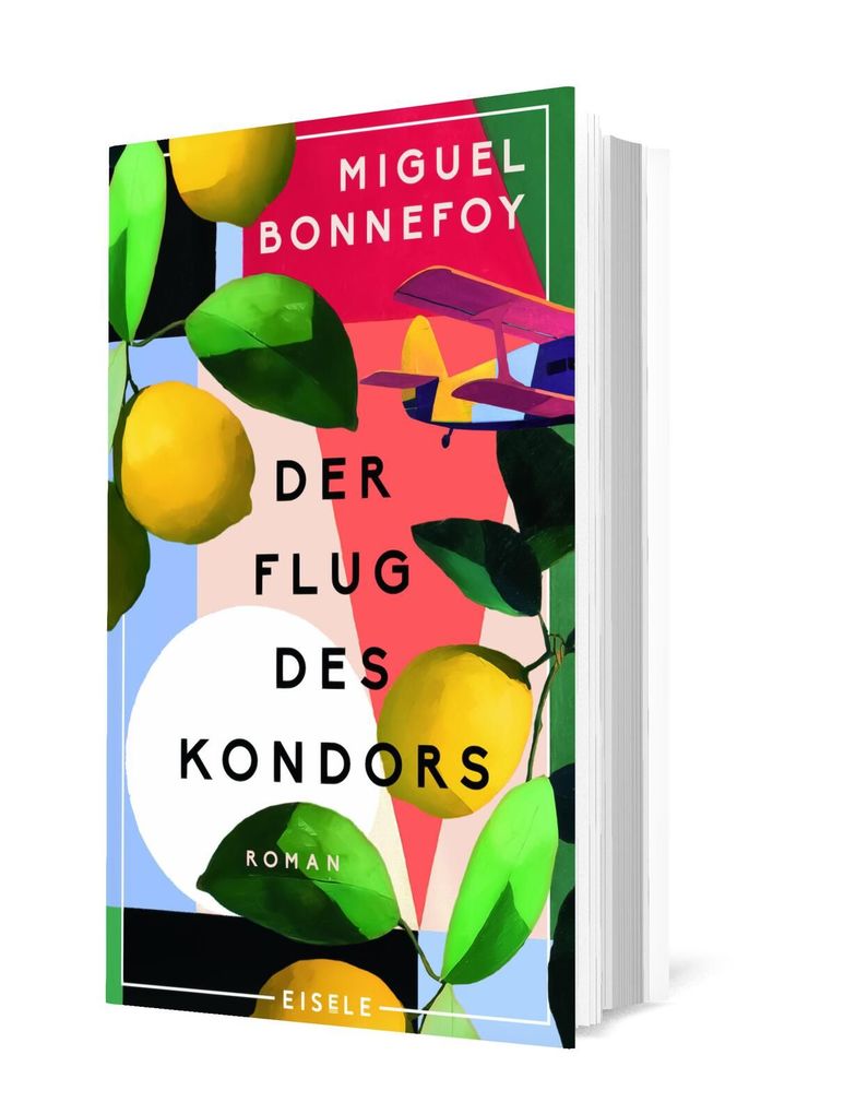 Weitere Ansicht: Der Flug des Kondors | Miguel Bonnefoy