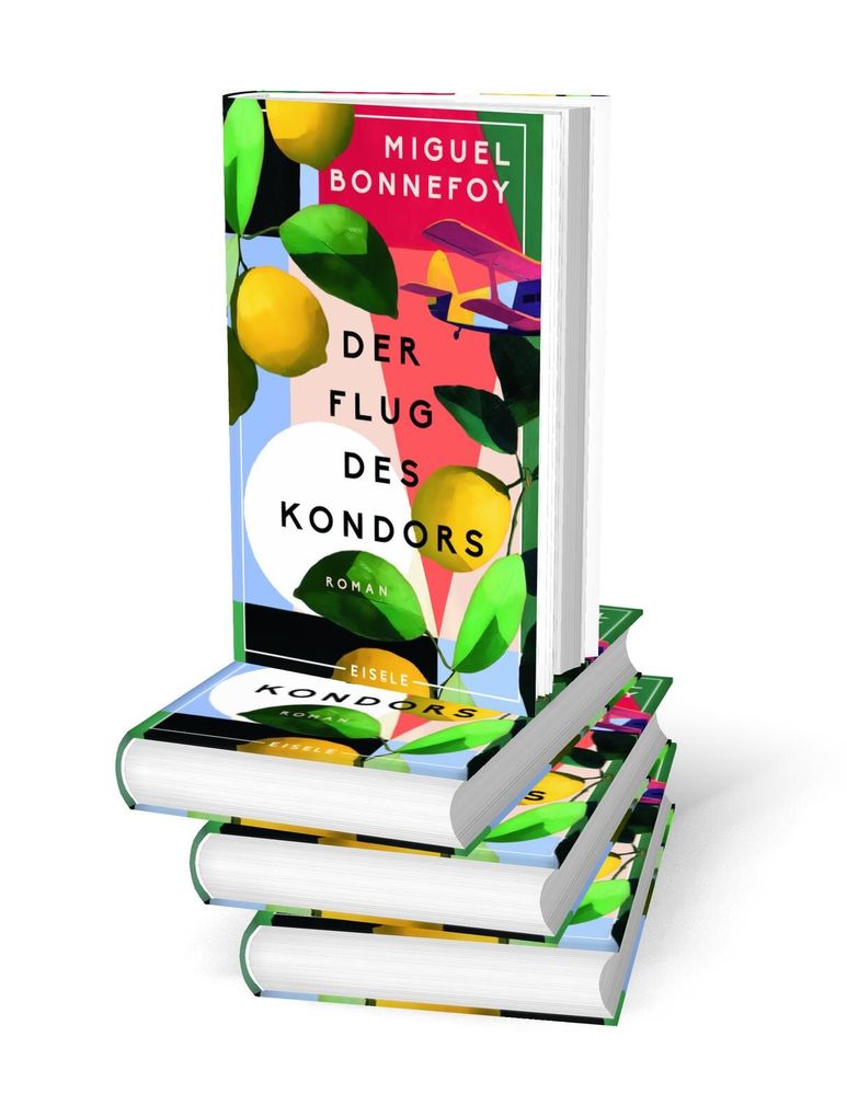 Weitere Ansicht: Der Flug des Kondors | Miguel Bonnefoy