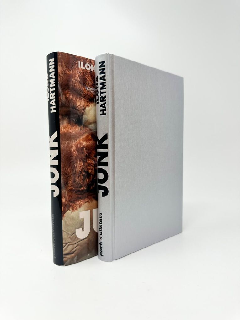 Weitere Ansicht: Junk | Ilona Hartmann