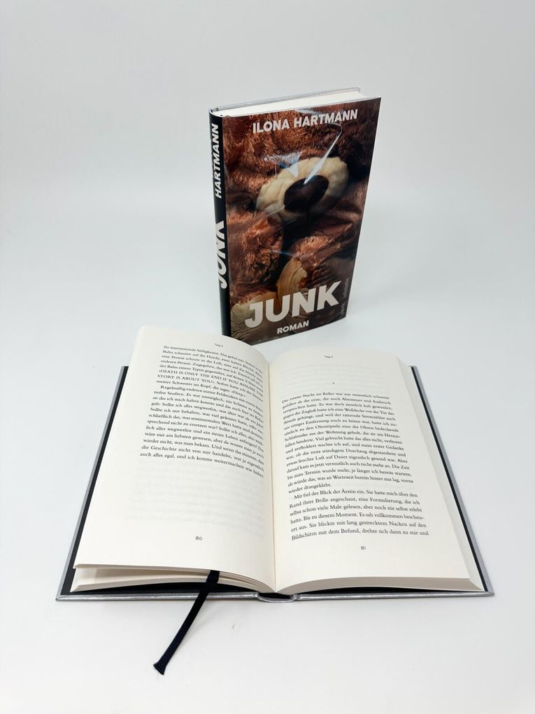 Weitere Ansicht: Junk | Ilona Hartmann